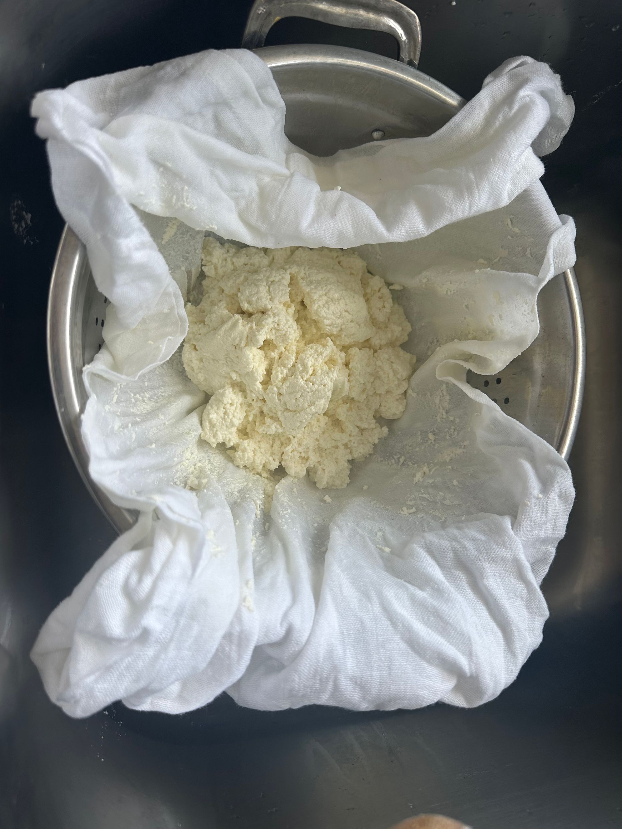 Ricotta Cheese