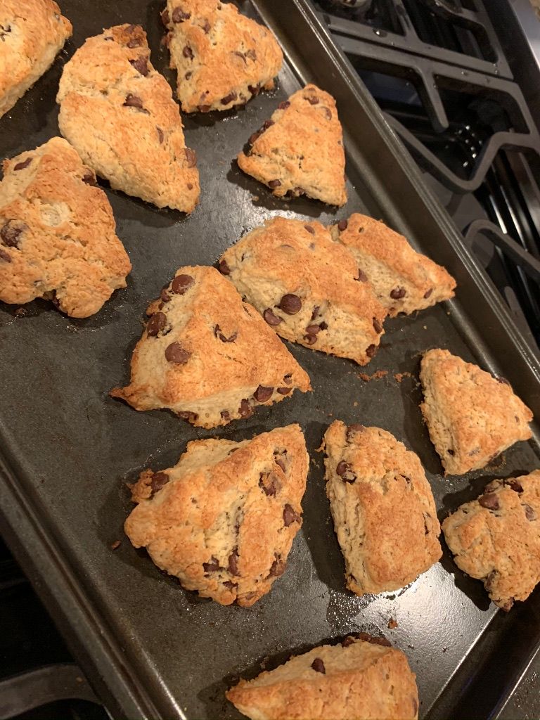 Chocolate Chip Scones