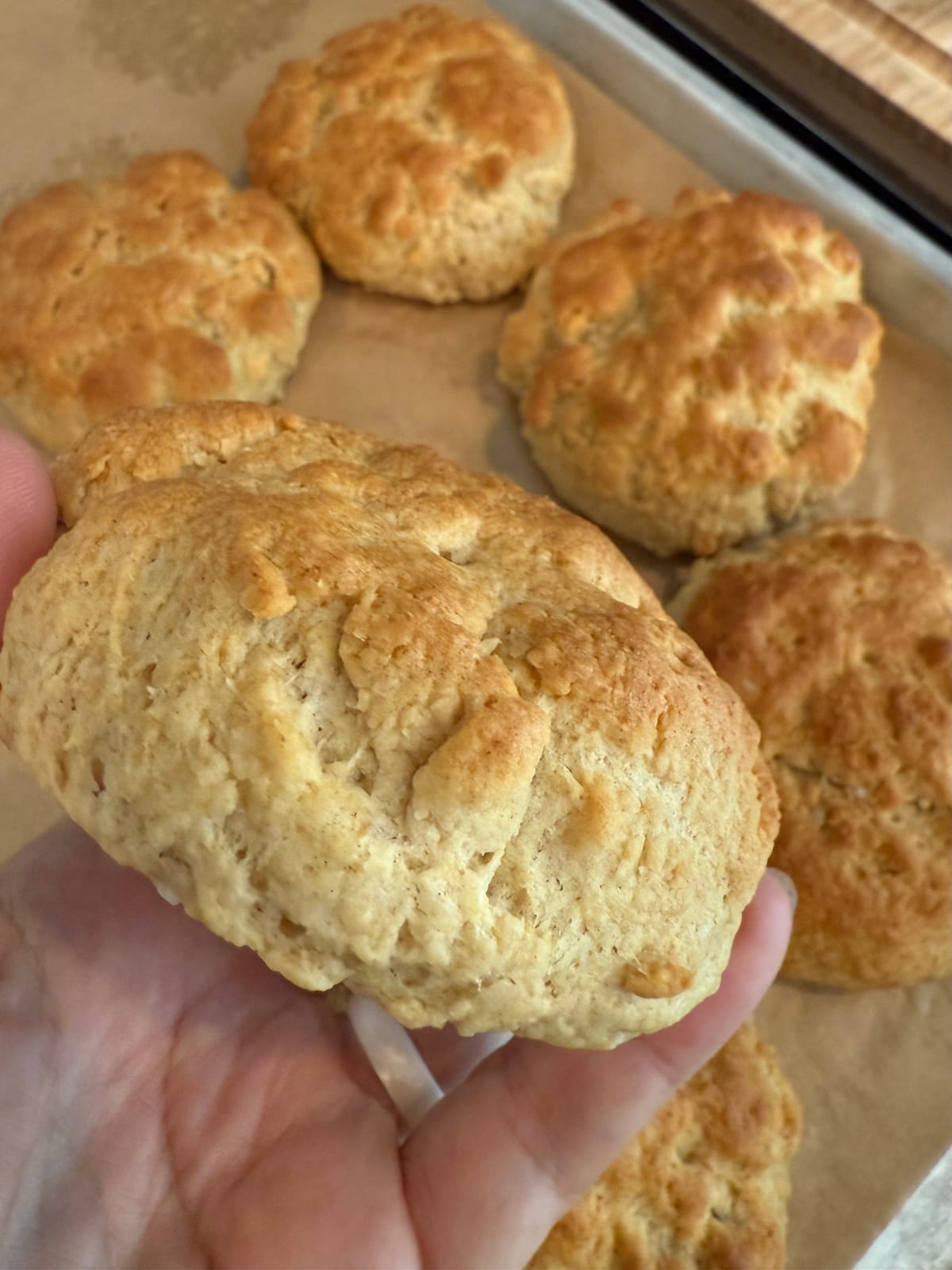 Low Carb Biscuits